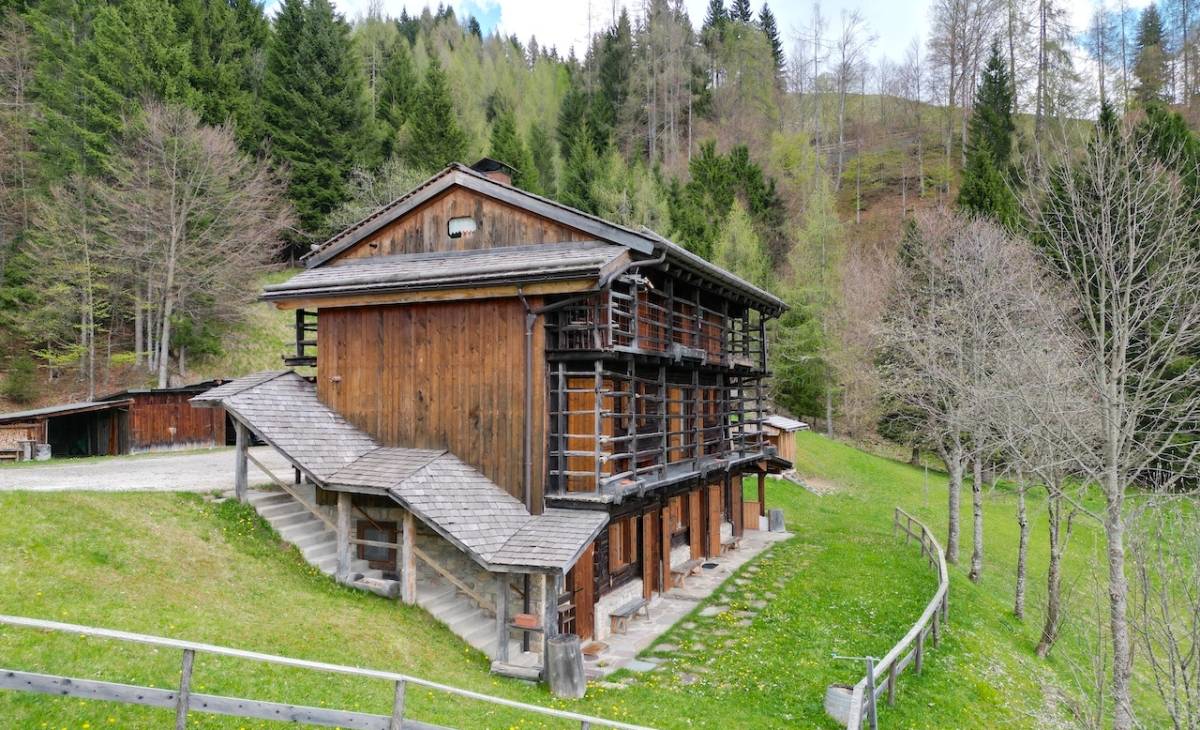 Sauris - detached house on three levels